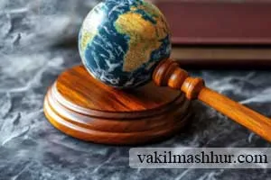 بررسی وضعیت اعلان سیاه اینترپل
